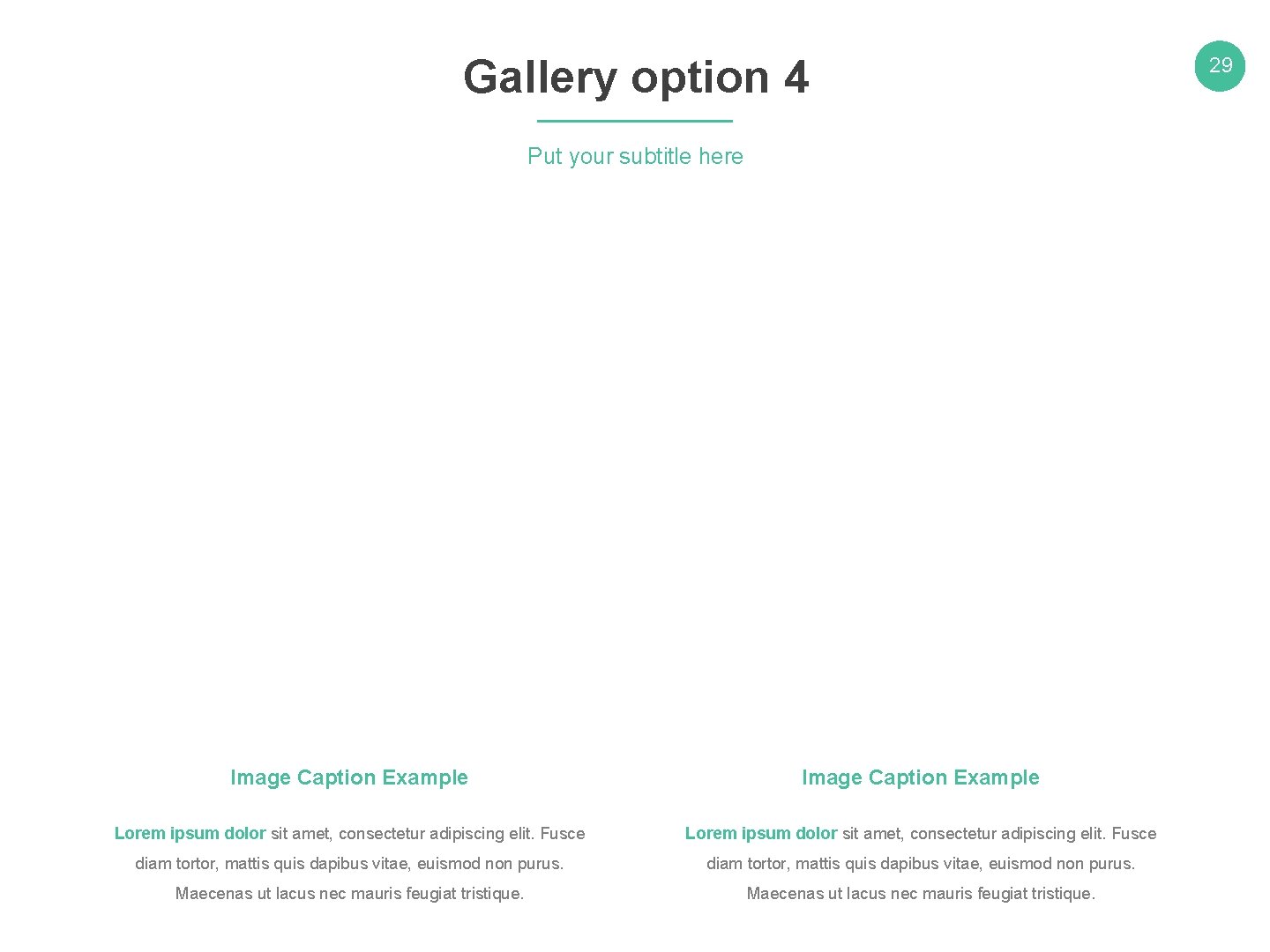 Gallery option 4 Put your subtitle here Image Caption Example Lorem ipsum dolor sit