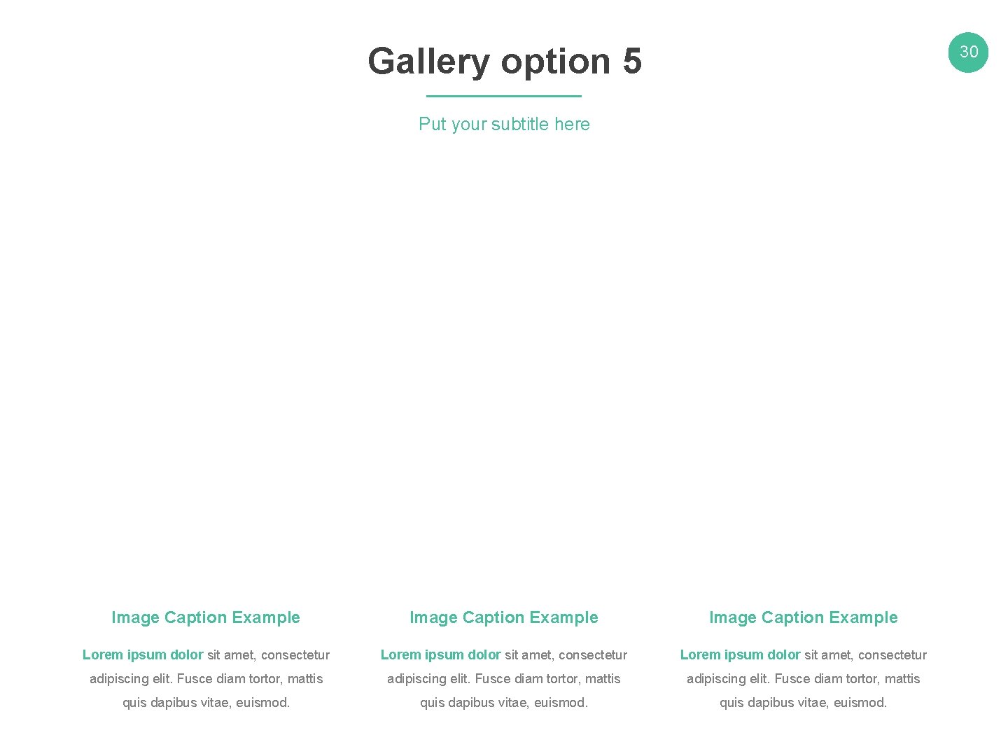 Gallery option 5 30 Put your subtitle here Image Caption Example Lorem ipsum dolor