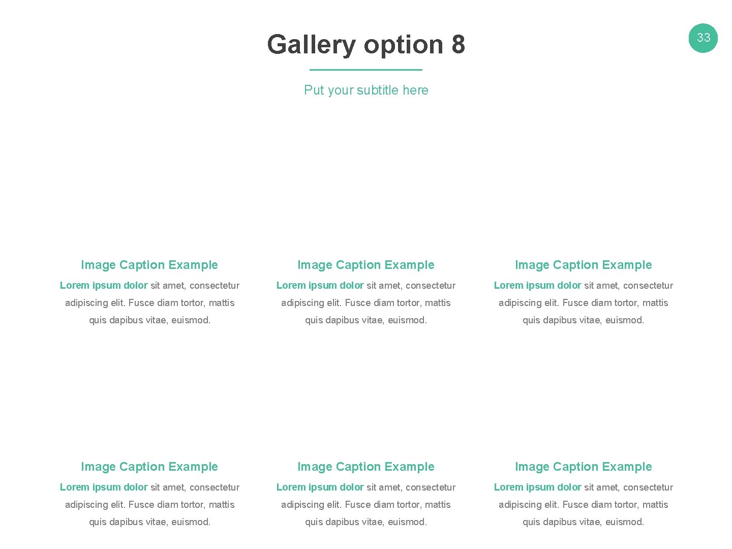 Gallery option 8 33 Put your subtitle here Image Caption Example Lorem ipsum dolor