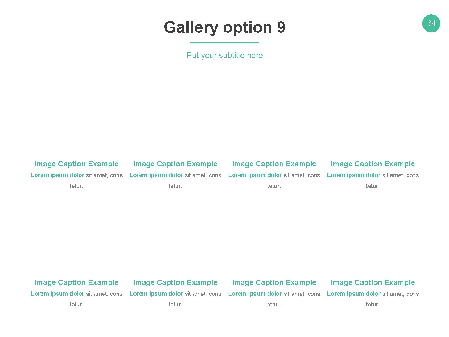 Gallery option 9 34 Put your subtitle here Image Caption Example Lorem ipsum dolor