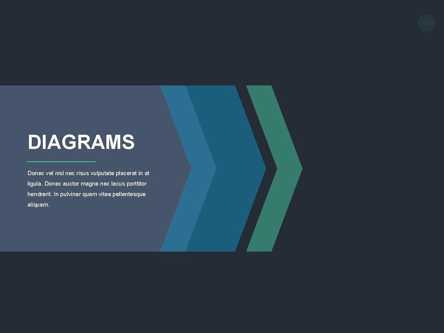 43 DIAGRAMS Donec vel nisl nec risus vulputate placerat in at ligula. Donec auctor