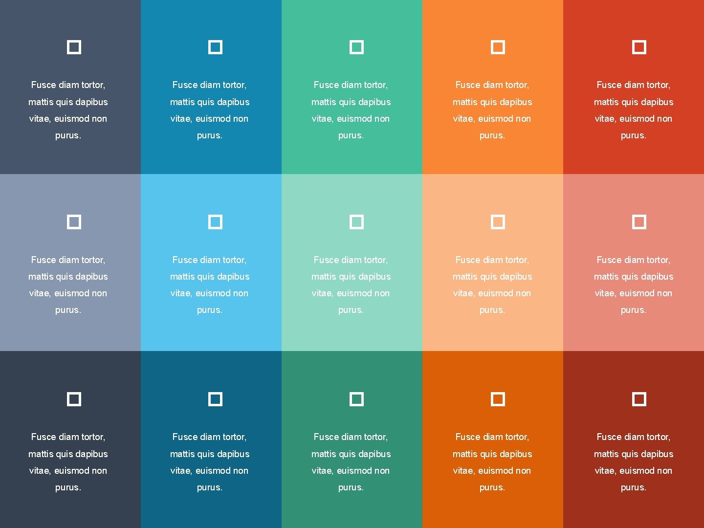 � � � 46 Fusce diam tortor, Fusce diam tortor, Fusce diam tortor, mattis