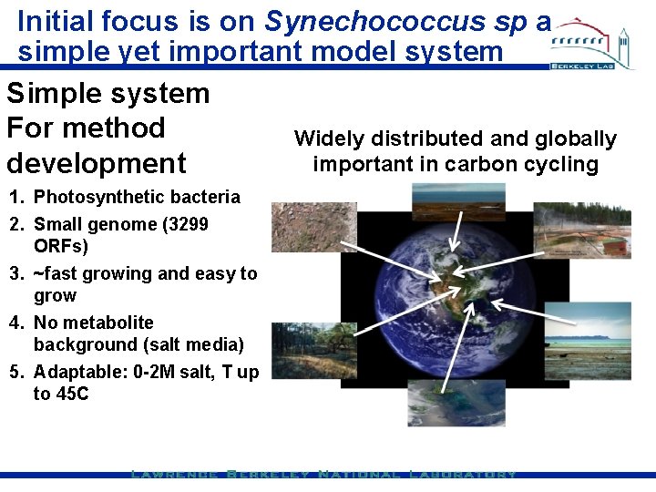 Initial focus is on Synechococcus sp a simple yet important model system Simple system