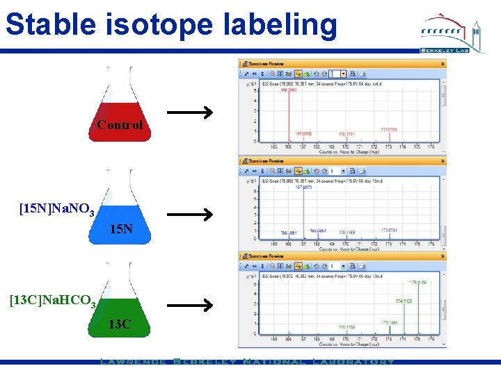 Stable isotope labeling Control [15 N]Na. NO 3 15 N [13 C]Na. HCO 3