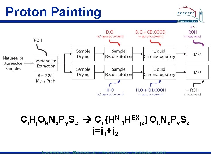 Proton Painting Ci. Hj. Ok. Nx. Py. Sz Ci (HNj 1 HEXj 2) Ok.