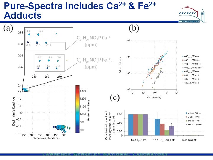 Pure-Spectra Includes Ca 2+ & Fe 2+ Adducts 