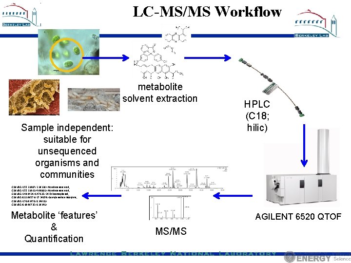 LC-MS/MS Workflow metabolite solvent extraction Sample independent: suitable for unsequenced organisms and communities HPLC