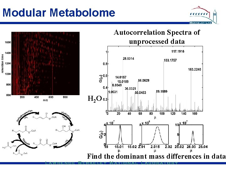 Modular Metabolome Autocorrelation Spectra of unprocessed data H 2 O Find the dominant mass