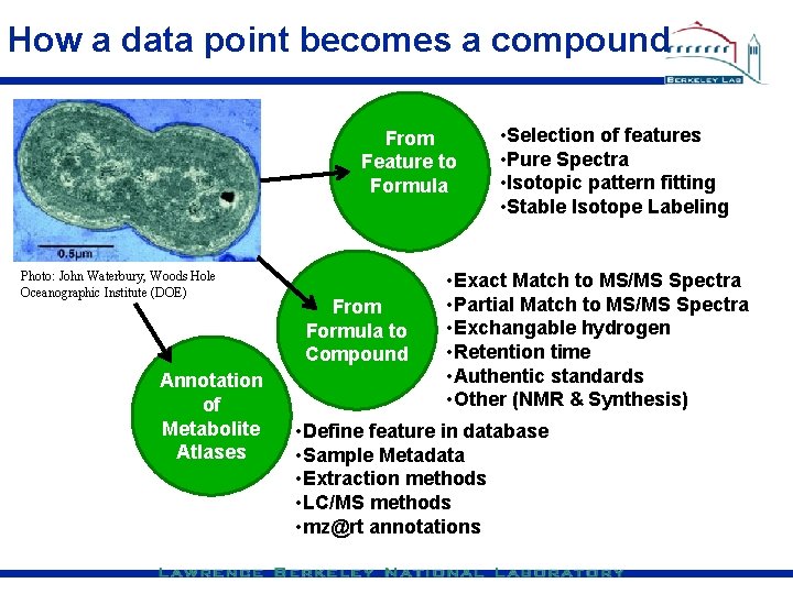 How a data point becomes a compound From Feature to Formula Photo: John Waterbury,