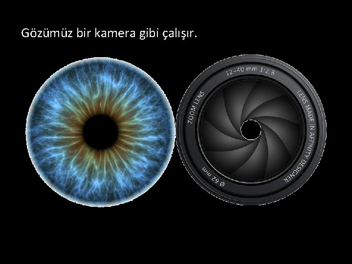 Gözümüz bir kamera gibi çalışır. 