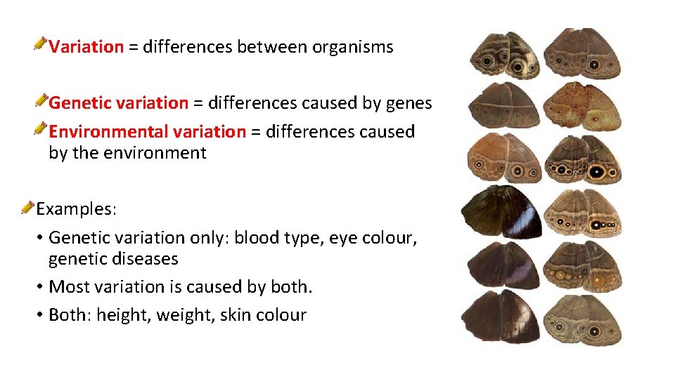  • Variation = differences between organisms • Genetic variation = differences caused by