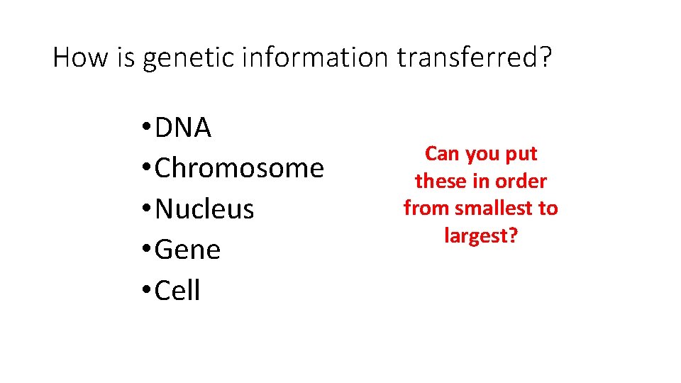 How is genetic information transferred? • DNA • Chromosome • Nucleus • Gene •