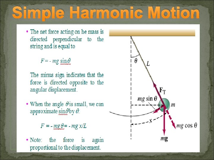 Simple Harmonic Motion 