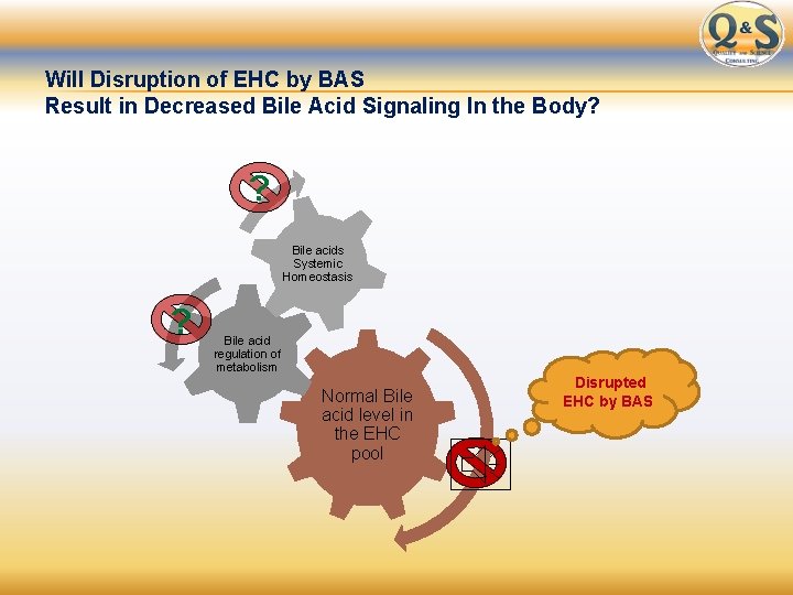 Will Disruption of EHC by BAS Result in Decreased Bile Acid Signaling In the