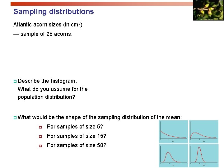 Sampling distributions Atlantic acorn sizes (in cm 3) — sample of 28 acorns: p