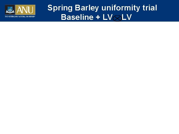 Spring Barley uniformity trial Baseline + LV LV 