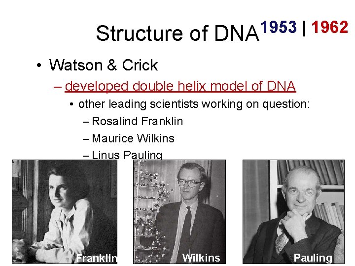 Structure of 1953 | 1962 DNA • Watson & Crick – developed double helix