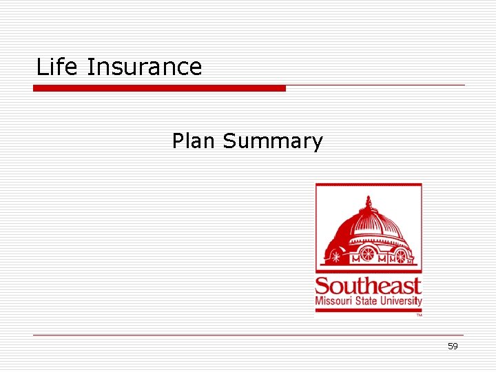 Life Insurance Plan Summary 59 