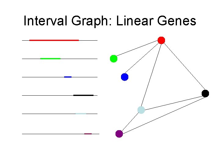 Interval Graph: Linear Genes 