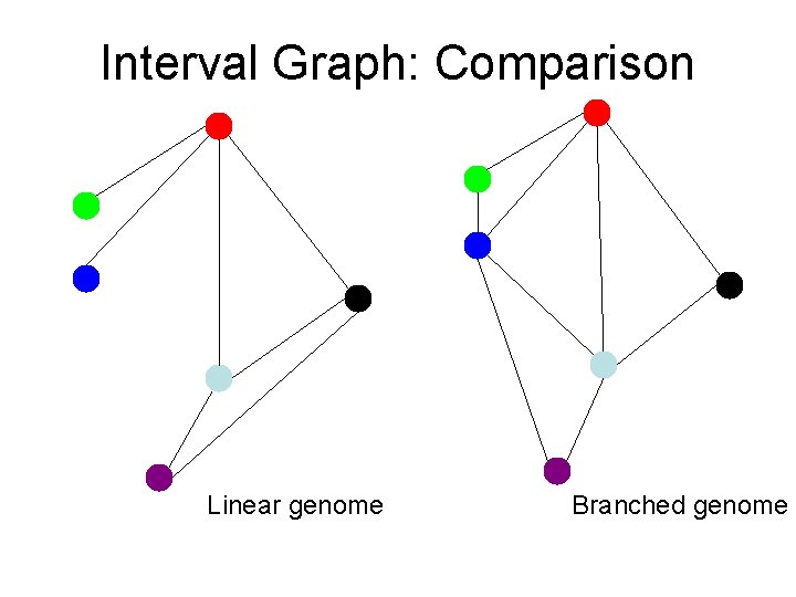 Interval Graph: Comparison Linear genome Branched genome 