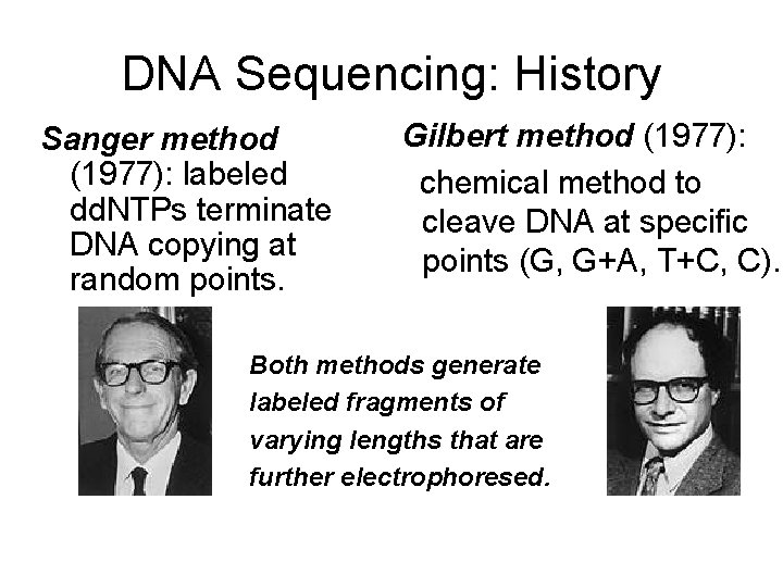 DNA Sequencing: History Sanger method (1977): labeled dd. NTPs terminate DNA copying at random