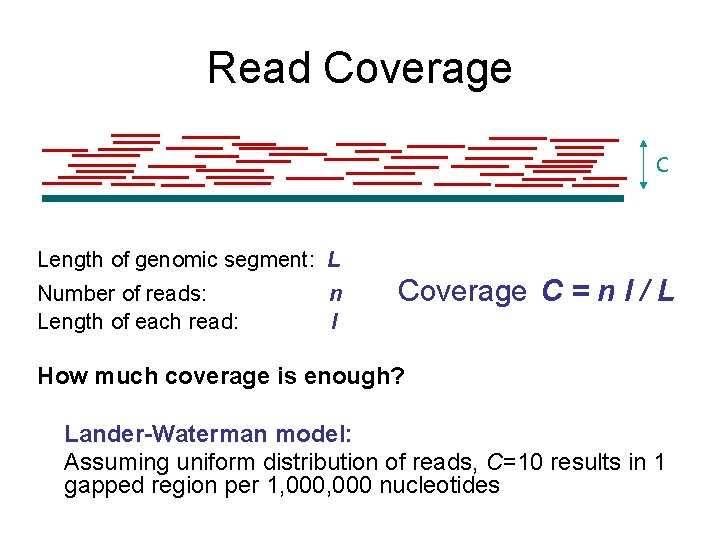 Read Coverage C Length of genomic segment: L Number of reads: Length of each
