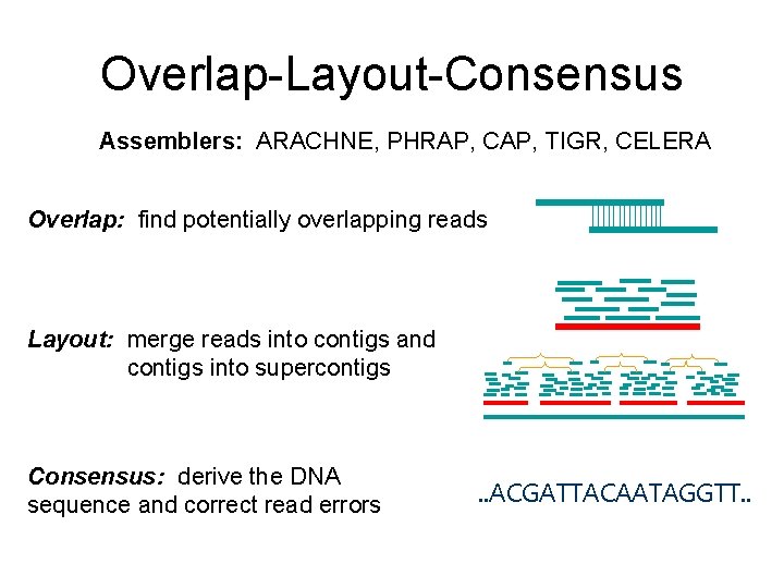 Overlap-Layout-Consensus Assemblers: ARACHNE, PHRAP, CAP, TIGR, CELERA Overlap: find potentially overlapping reads Layout: merge