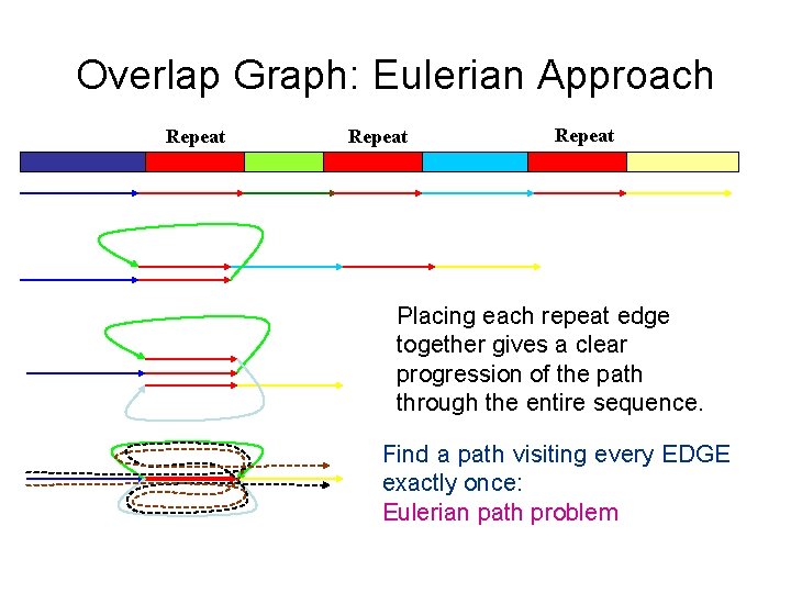 Overlap Graph: Eulerian Approach Repeat Placing each repeat edge together gives a clear progression