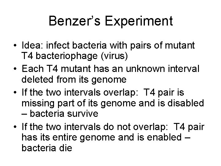 Benzer’s Experiment • Idea: infect bacteria with pairs of mutant T 4 bacteriophage (virus)