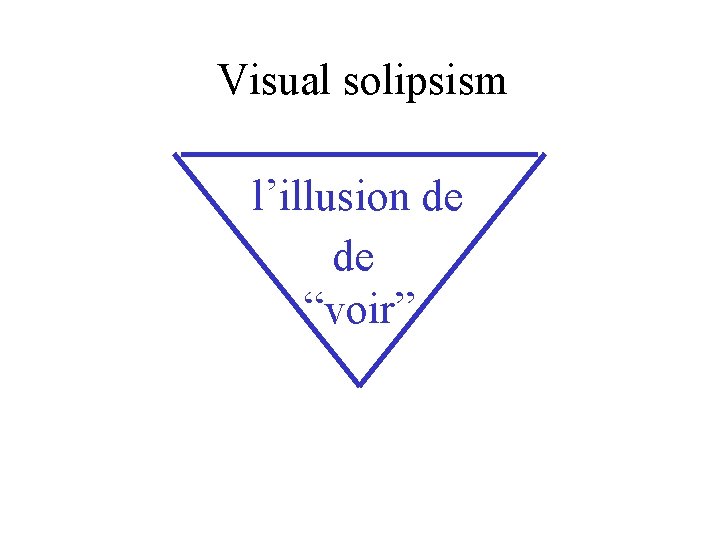 Visual solipsism l’illusion de de “voir” 