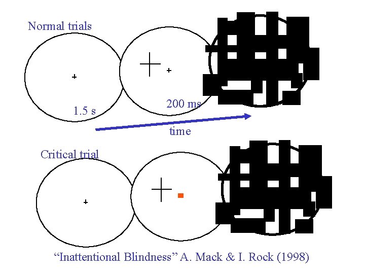 Normal trials 1. 5 s 200 ms time Critical trial “Inattentional Blindness” A. Mack