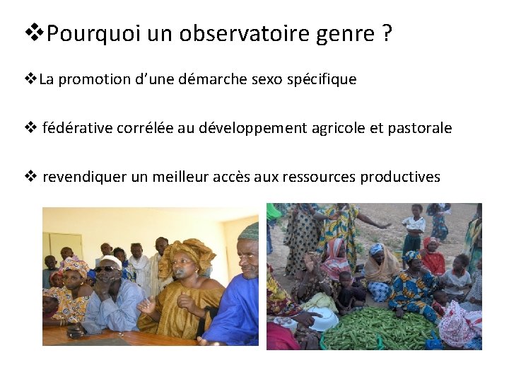 v. Pourquoi un observatoire genre ? v. La promotion d’une démarche sexo spécifique v