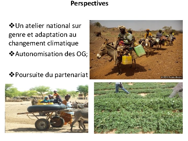 Perspectives v. Un atelier national sur genre et adaptation au changement climatique v. Autonomisation