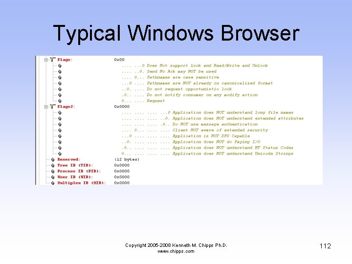 Typical Windows Browser Copyright 2005 -2008 Kenneth M. Chipps Ph. D. www. chipps. com