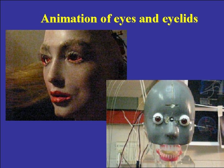 Animation of eyes and eyelids 