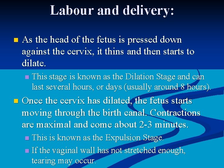 Labour and delivery: n As the head of the fetus is pressed down against