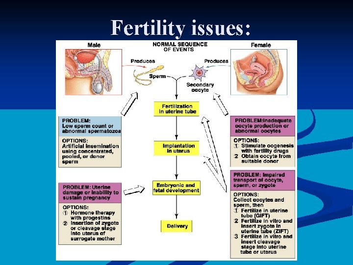 Fertility issues: 