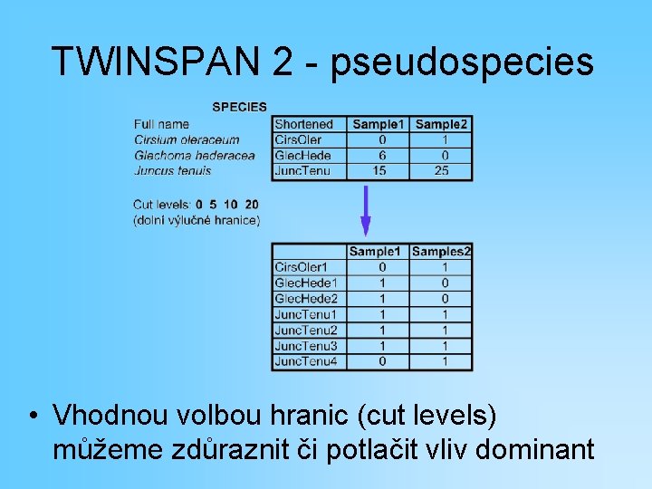 TWINSPAN 2 - pseudospecies • Vhodnou volbou hranic (cut levels) můžeme zdůraznit či potlačit
