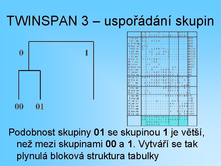 TWINSPAN 3 – uspořádání skupin Podobnost skupiny 01 se skupinou 1 je větší, než