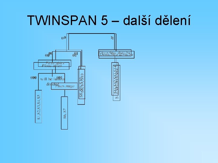 TWINSPAN 5 – další dělení 