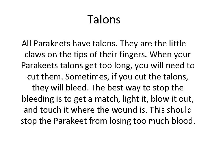 Talons All Parakeets have talons. They are the little claws on the tips of Talons All Parakeets have talons. They are the little claws on the tips of