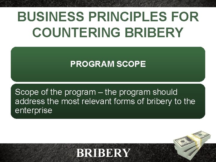 BUSINESS PRINCIPLES FOR COUNTERING BRIBERY PROGRAM SCOPE Scope of the program – the program