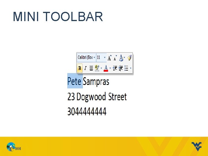 MINI TOOLBAR 