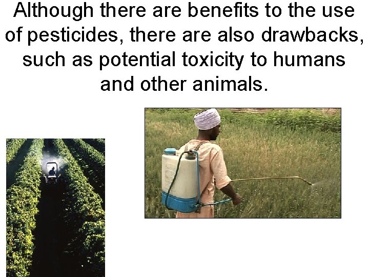 Although there are benefits to the use of pesticides, there also drawbacks, such as