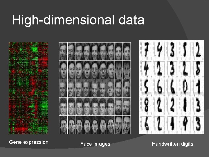 High-dimensional data Gene expression Face images Handwritten digits 