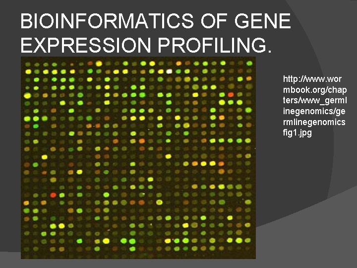 BIOINFORMATICS OF GENE EXPRESSION PROFILING. http: //www. wor mbook. org/chap ters/www_germl inegenomics/ge rmlinegenomics fig