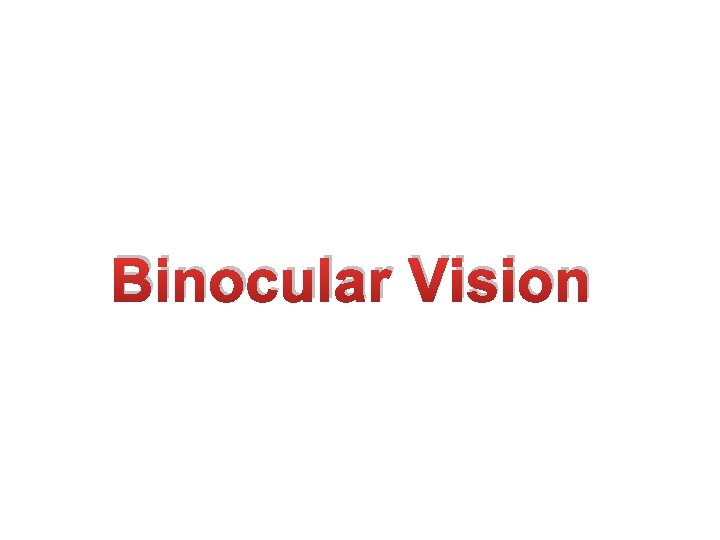 Binocular Vision 