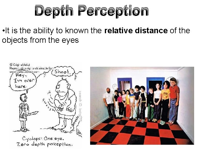 Depth Perception • It is the ability to known the relative distance of the