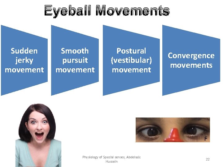 Eyeball Movements Sudden jerky movement Smooth pursuit movement Postural (vestibular) movement Physiology of Special