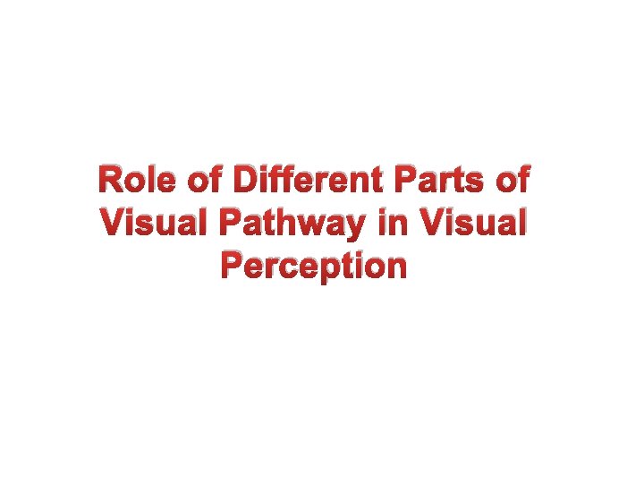 Role of Different Parts of Visual Pathway in Visual Perception 